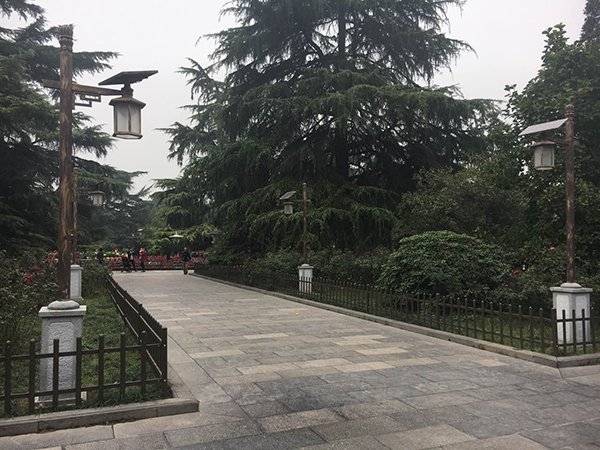 源碼太陽能路燈，太陽能路燈廠家，太陽能路燈價格