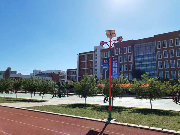 太陽能路燈，太陽能路燈廠家，太陽能路燈價(jià)格