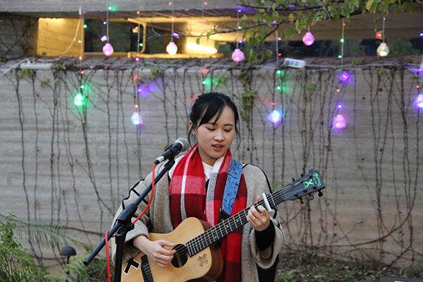 太陽能路燈，太陽能路燈廠家，太陽能路燈價格